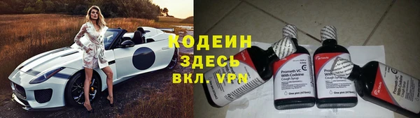 бошки Инта