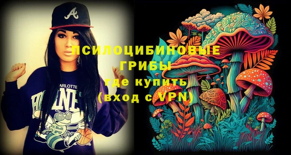 бошки Инта