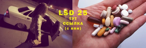соль ск Зеленодольск