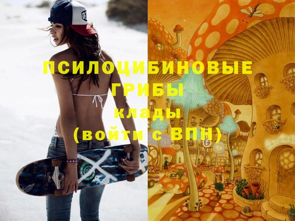 бошки Инта