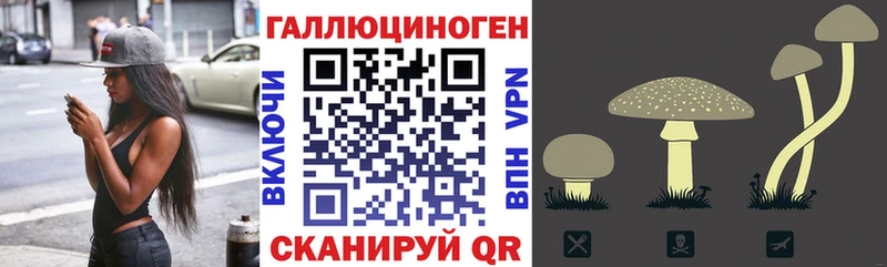 Купить где  Зуевка  Псилоцибиновые грибы Cubensis 